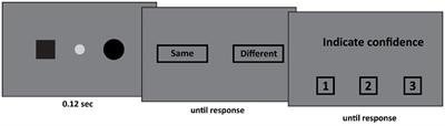 Visual integration across fixation: automatic processes are split but conscious processes remain unified in the split-brain